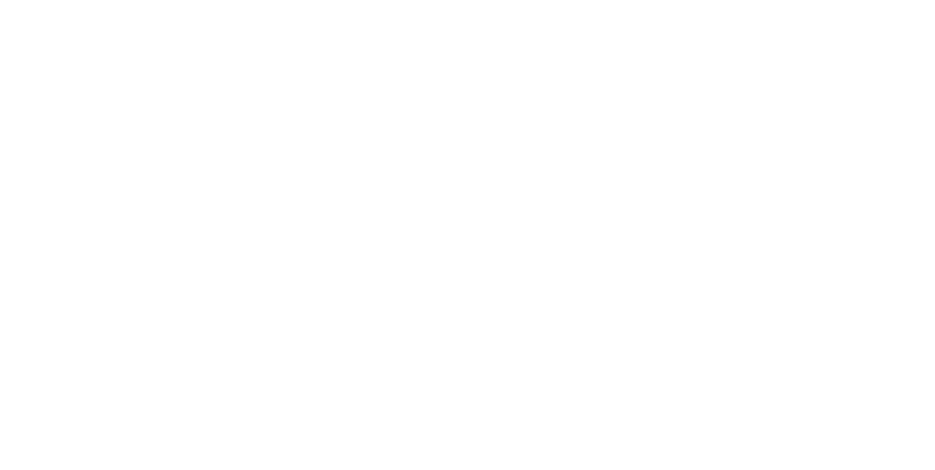 petzl